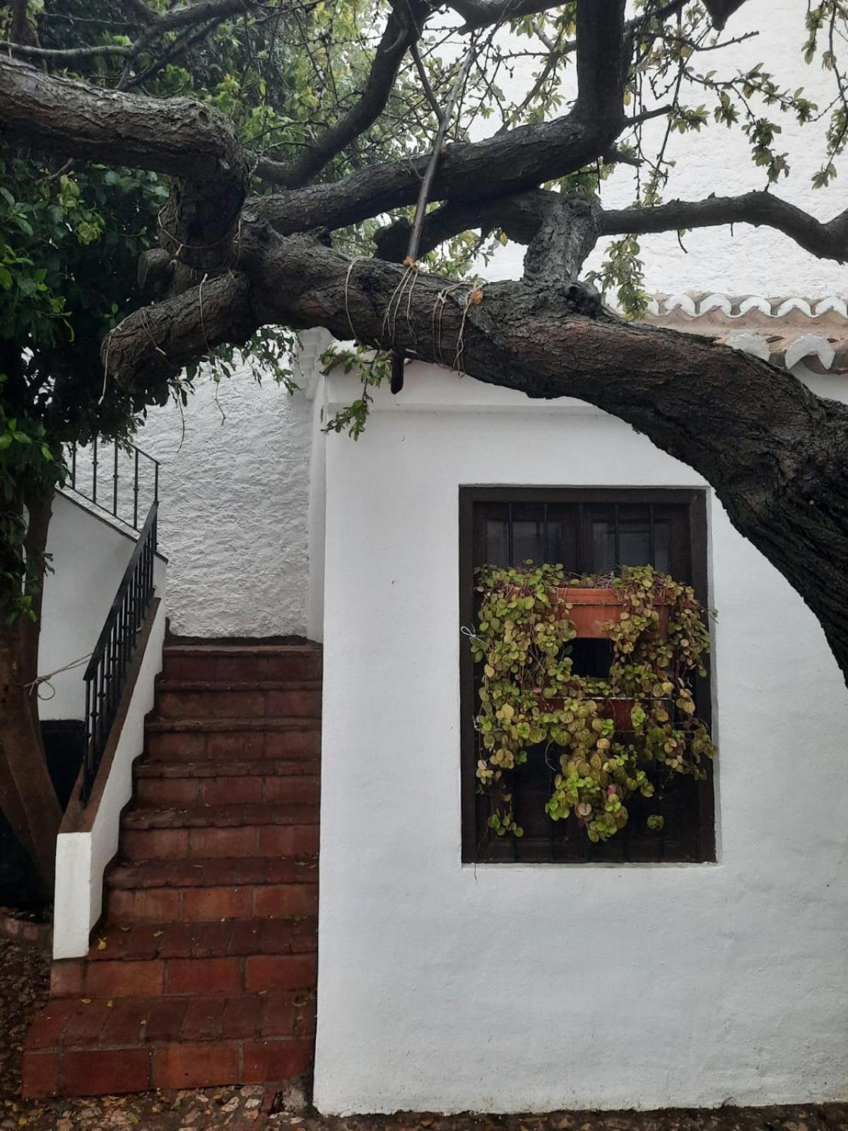 Hotel Rural Verde Oliva Comares ห้อง รูปภาพ