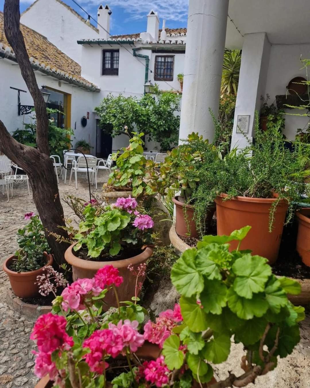 Hotel Rural Verde Oliva Comares ภายนอก รูปภาพ