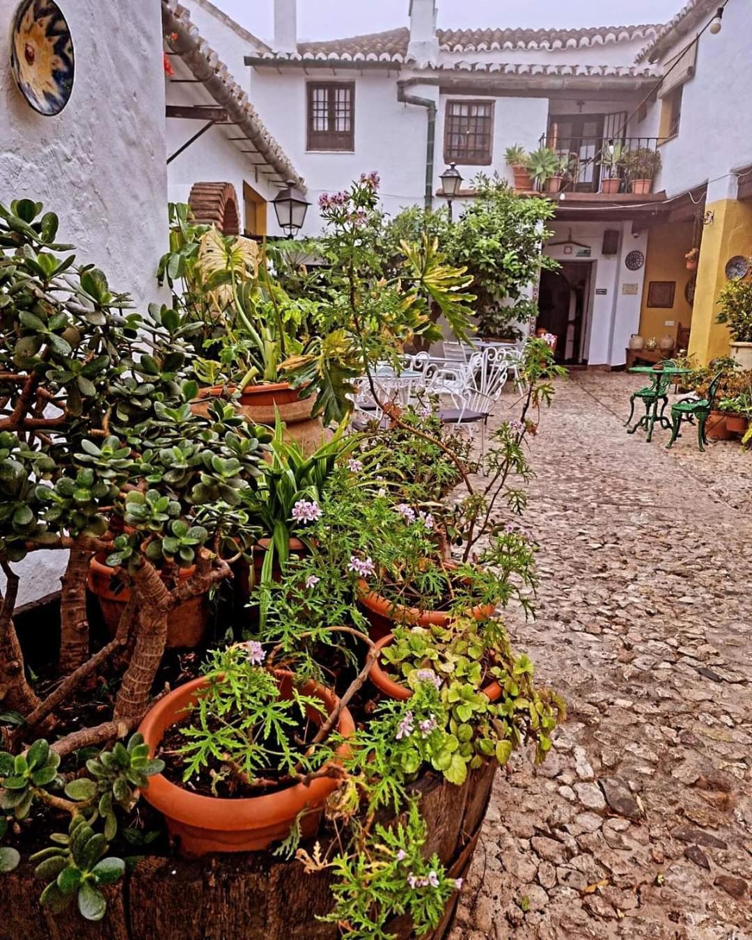 Hotel Rural Verde Oliva Comares ภายนอก รูปภาพ